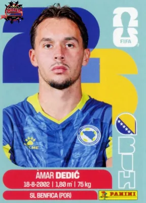 BIH 3 Amer Dedic