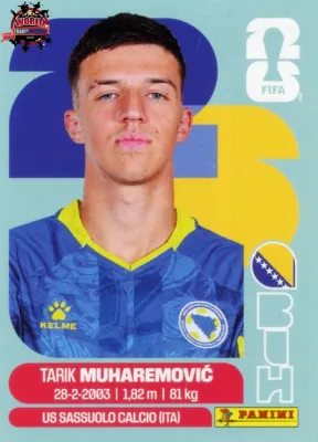 BIH 5 Tarik Muharemovic