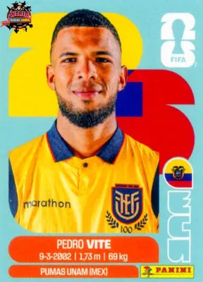 ECU 12 Pedro Vite